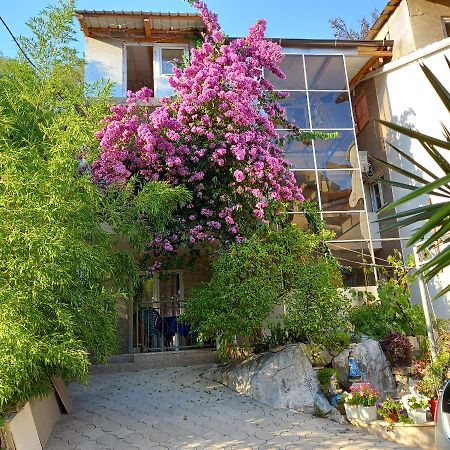 Bugenvilija Budva Ngoại thất bức ảnh