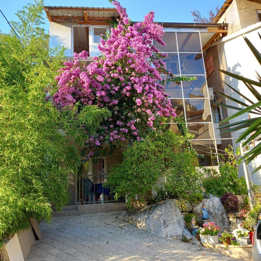 Bugenvilija Budva Ngoại thất bức ảnh