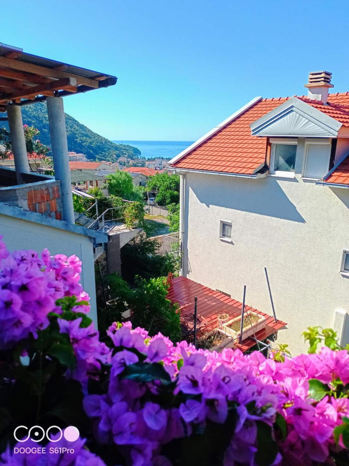 Bugenvilija Budva Ngoại thất bức ảnh